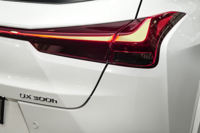 2024 Lexus UX 300h F Sport