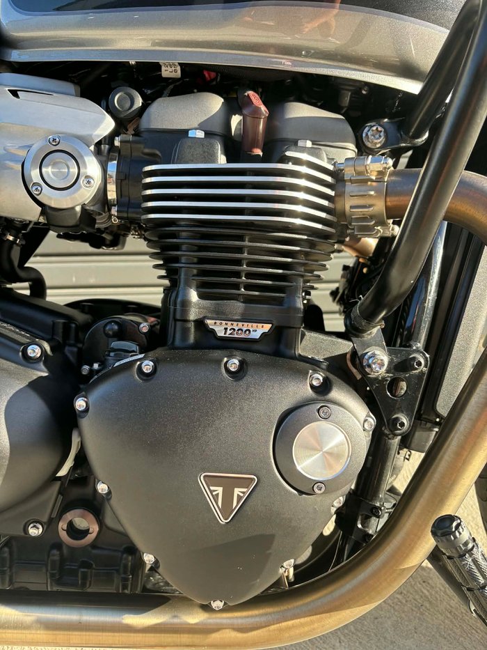 2019 Triumph  Speed Twin