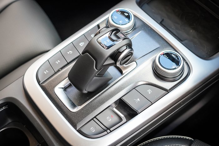 2025 GWM GWM TANK 300