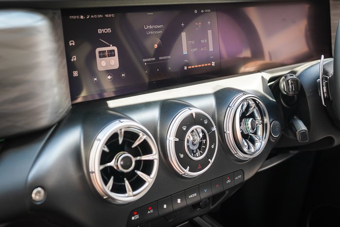 2025 GWM GWM TANK 300