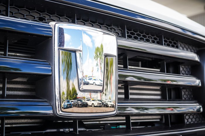 2025 GWM GWM TANK 300