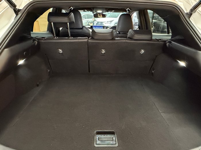 2020 Lexus UX250h Luxury 2.0L Hybrid Auto E-CVT SUV