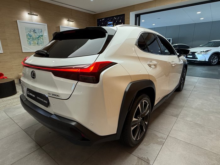 2020 Lexus UX250h Luxury 2.0L Hybrid Auto E-CVT SUV