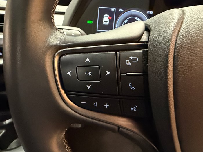 2020 Lexus UX250h Luxury 2.0L Hybrid Auto E-CVT SUV