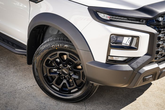 2026 JAC JAC T9