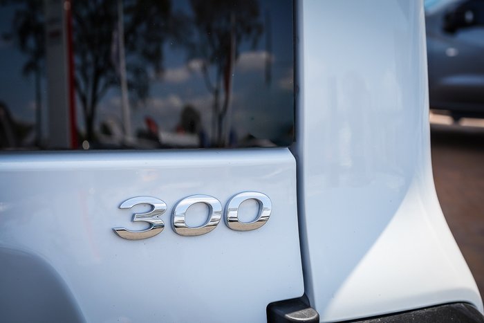 2025 GWM GWM TANK 300