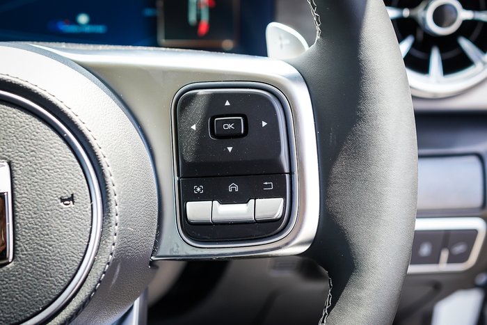 2025 GWM GWM TANK 300