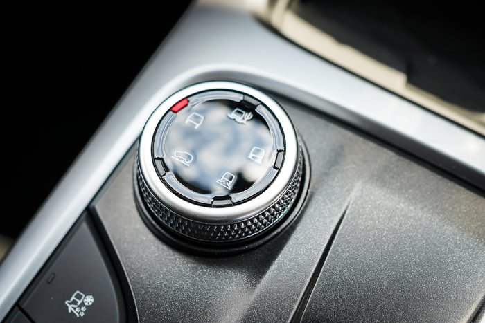 2025 GWM GWM TANK 300