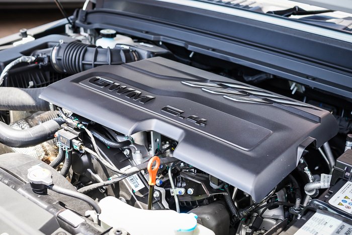 2025 GWM GWM TANK 300