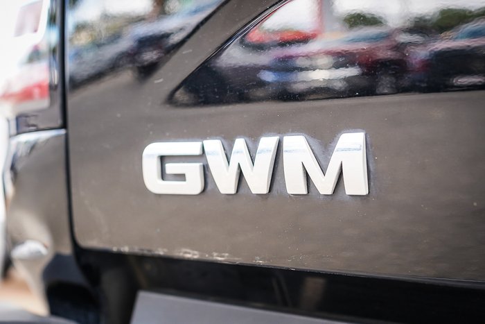 2022 GWM CANNON