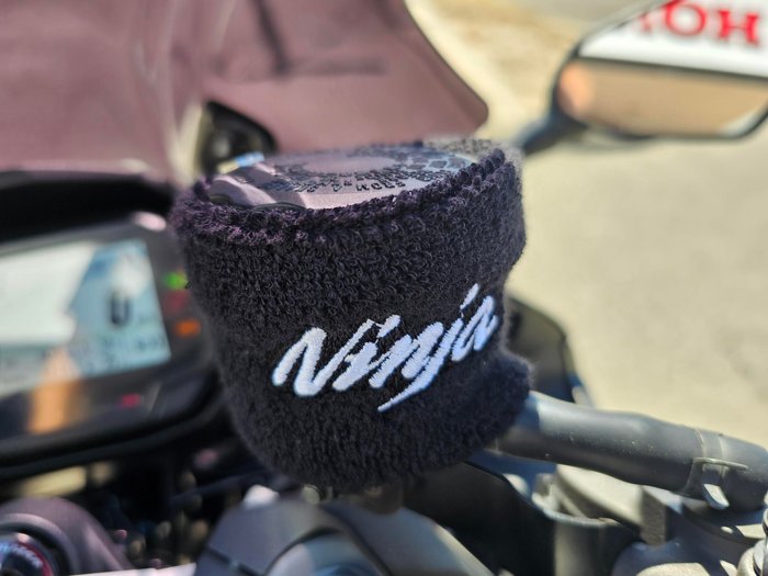 2020 Kawasaki Ninja 1000 SX Black