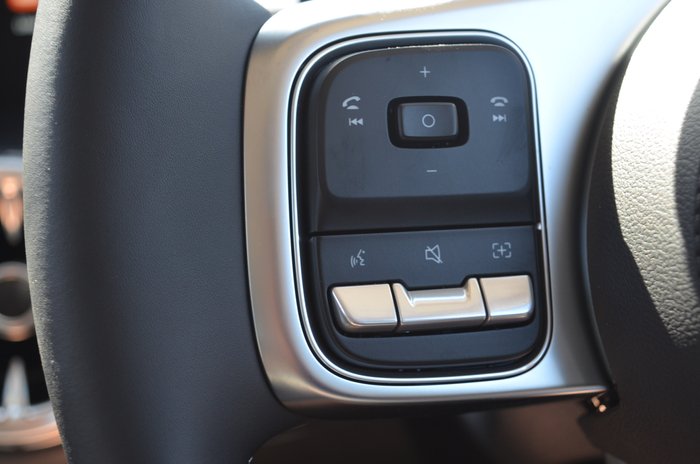 2025 GWM Tank 300 Ultra