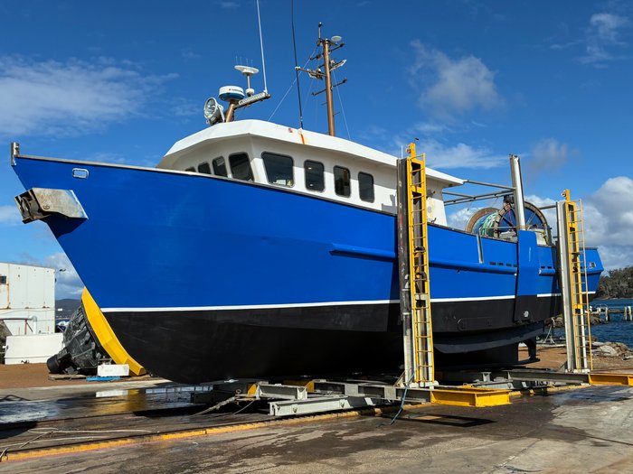 2001 Shark Boat Steel