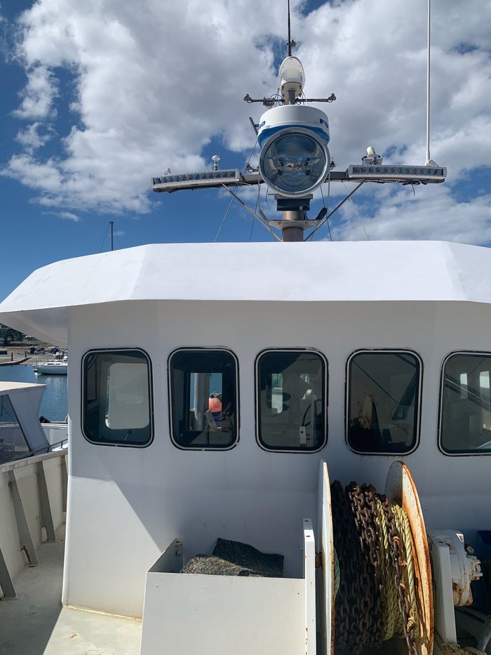 2001 Shark Boat Steel