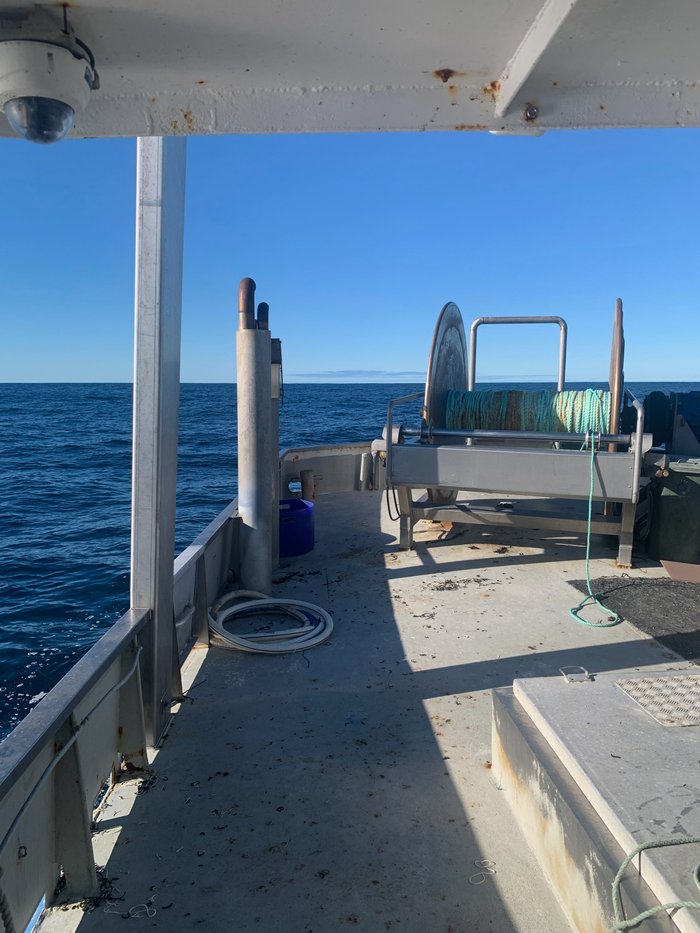 2001 Shark Boat Steel