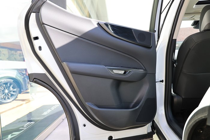 2025 Lexus NX250 NX250 Base 2.5L Petrol Automatic Wagon 2M00110 001