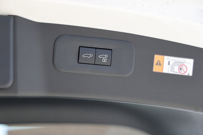 2025 Lexus NX250 NX250 Base 2.5L Petrol Automatic Wagon 2M00110 001