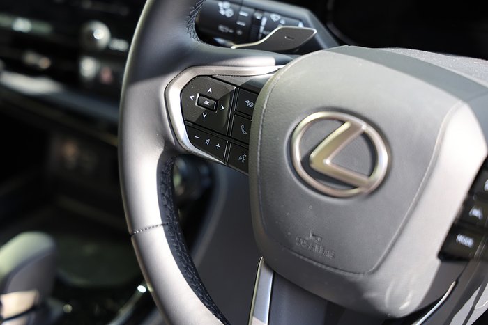 2025 Lexus NX250 NX250 Base 2.5L Petrol Automatic Wagon 2M00110 001