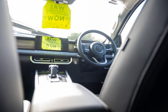 2025 GWM Cannon Premium