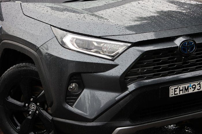 2020 Toyota RAV4 Cruiser
