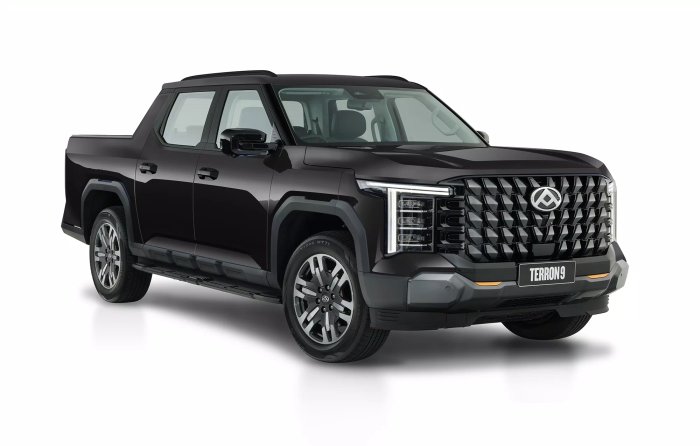 2025 LDV Terron 9 Evolve EKK1C BLACK