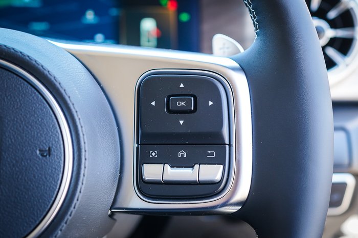 2025 GWM GWM TANK 300