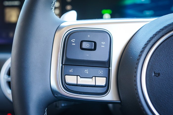 2025 GWM GWM TANK 300