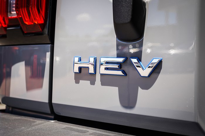 2025 GWM GWM TANK 300