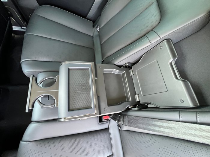 2025 GWM CANNON ALPHA PHEV ULTR