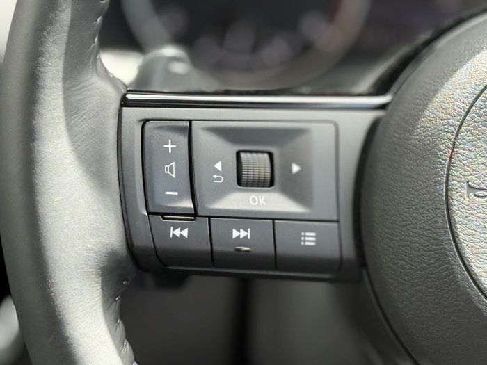 2025 Nissan X-TRAIL ST-L