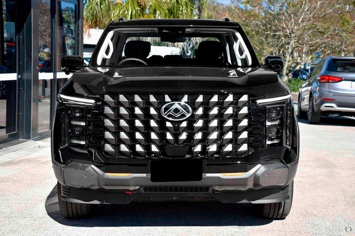 2025 LDV TERRON 9