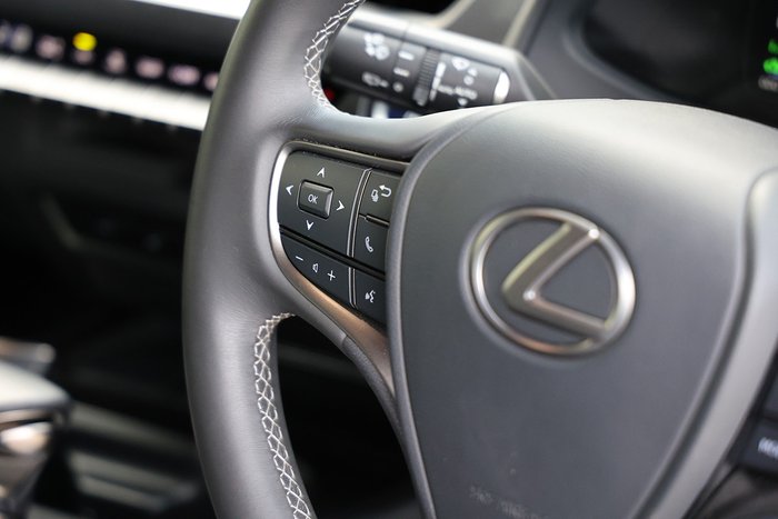 2022 Lexus UX250h UX250h Luxury 2.0L Hybrid Auto E-CVT SUV 4146590 003