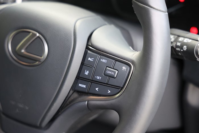 2022 Lexus UX250h UX250h Luxury 2.0L Hybrid Auto E-CVT SUV 4146590 003