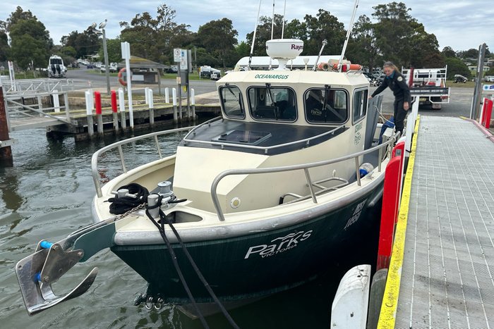 2005 Multiple use alloy Alloy