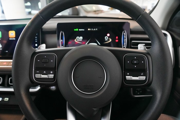 2025 GWM Cannon Premium