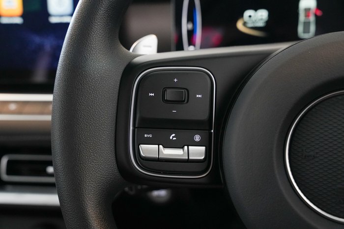 2025 GWM Cannon Premium