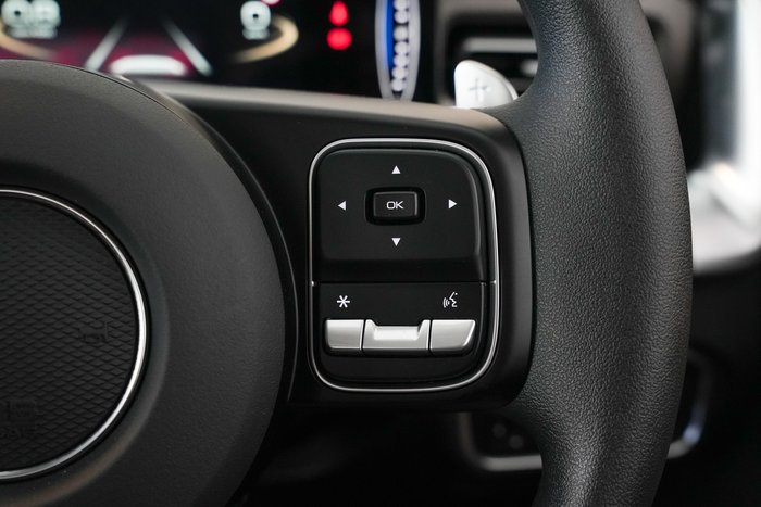 2025 GWM Cannon Premium