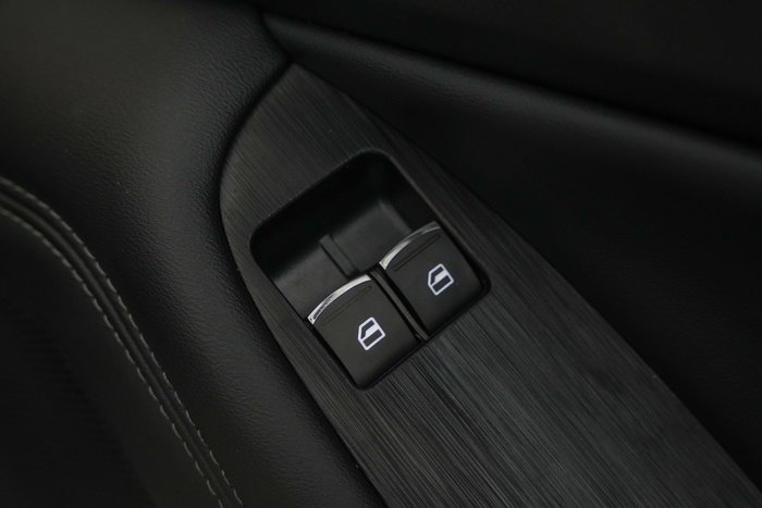 2025 GWM Cannon Premium