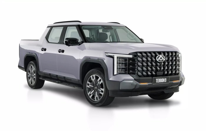 2025 LDV Terron 9 Evolve EKK1C GREY