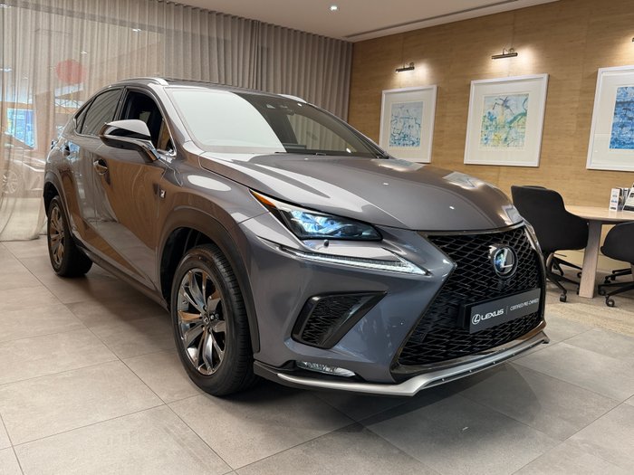 2019 Lexus NX300