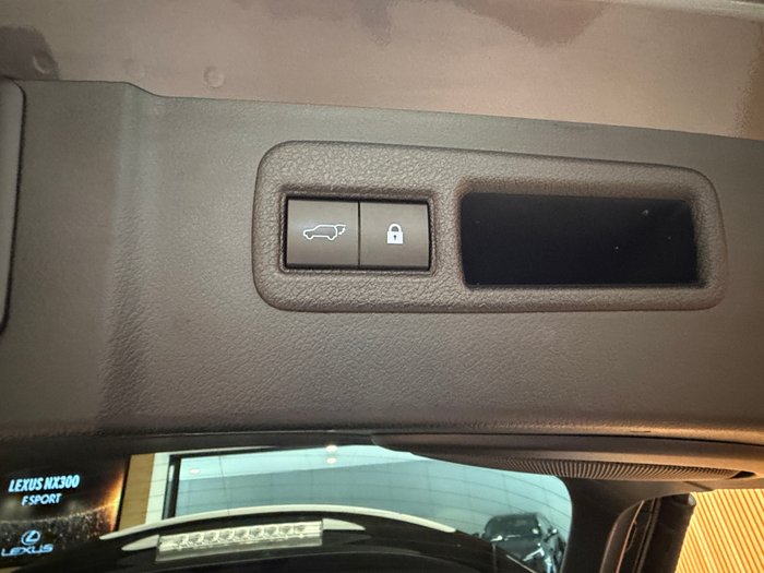 2019 Lexus NX300 F Sport 2.0L Turbo Automatic Wagon