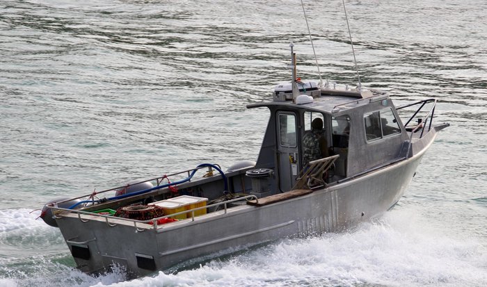 1988 ALLOY LINE Lobster