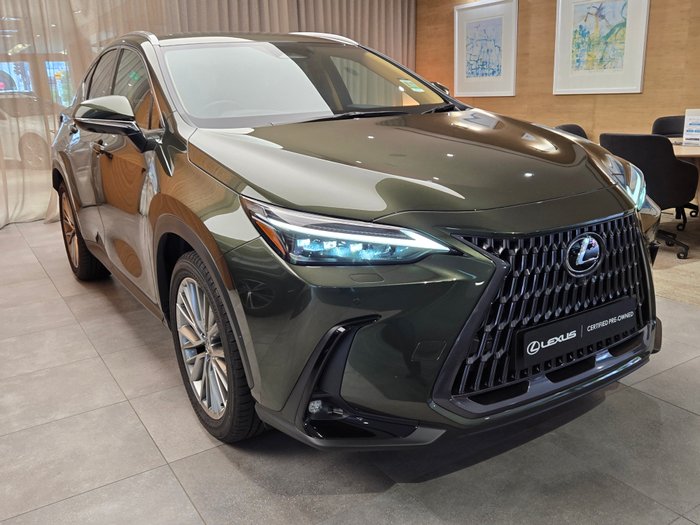 2024 Lexus NX350H Sports Luxury AWD