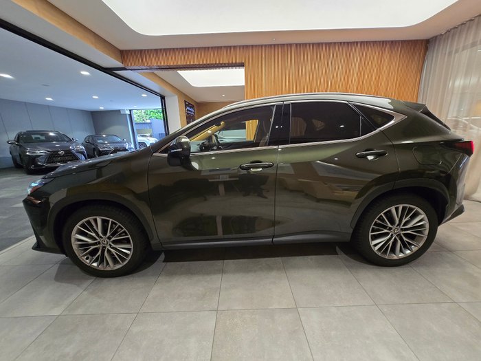 2024 Lexus NX350H Sports Luxury AWD