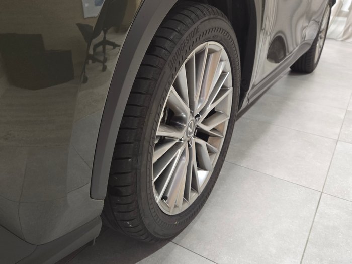 2024 Lexus NX350H Sports Luxury AWD