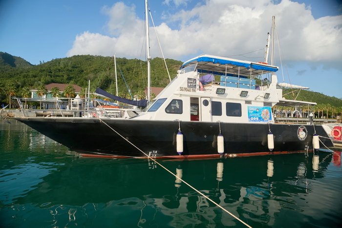 2018 Charter Dive