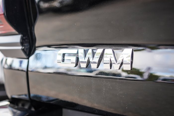 2025 GWM CANNON