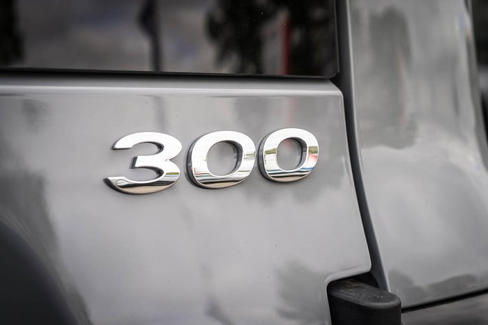 2025 GWM GWM TANK 300