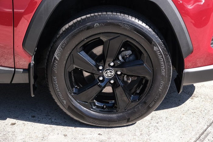 2020 Toyota RAV4 Cruiser