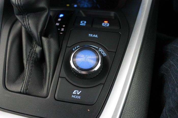 2021 Toyota RAV4 Cruiser
